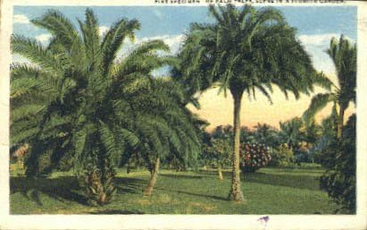 Garden Florida, Florida Razglednica