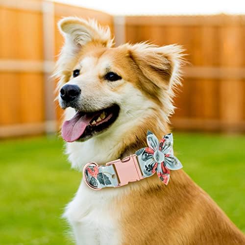TDTOK ženski ovratnik za pse, meki cvjetni ogrlice za pse za male srednje velike pse s metalnim sigurnosnim kopčom odvojivi cvijet izdržljivi ovratnik za pse, fit vratovi 7,9-22 inča