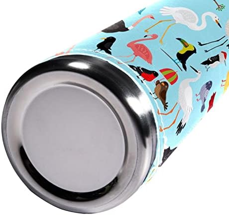 SDFSDFSD 17 oz Vakuum izolirane boce od nehrđajućeg čelika Sportska kavana Putna krigla FIKSNA KUĆA Omotana BPA Besplatno, slatka ptica ilustracija