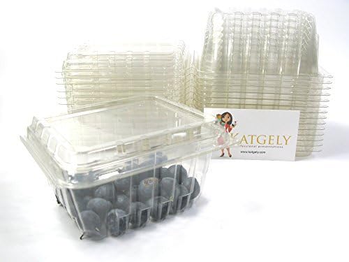 Katgely ventilacijom Pinta plastike bobica kontejneri za grožđe paradajz & borovnice