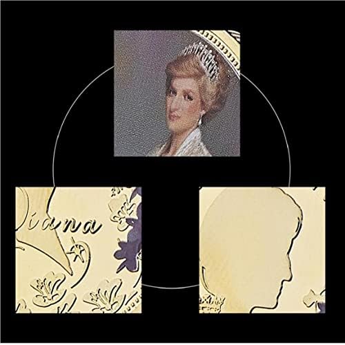 Froiny 1pc Princess Diana Komemorativni kraljičin suvenirnica Kolekcija kolekcija pokloni Kolekcionarski