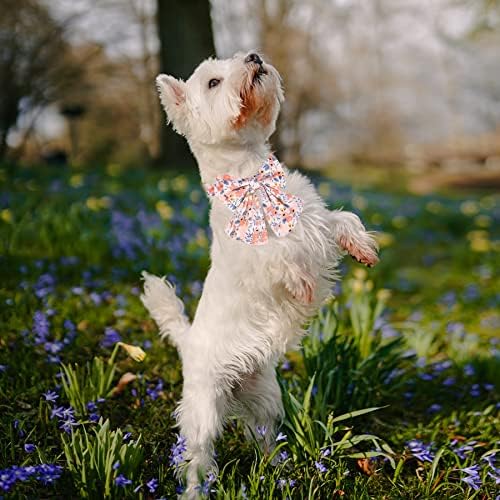 AimJGO ovratnik za pse sa lukom, cvjetni ispis proljetni pas Bowtie ovratnik mekim podesivim kućnim ljubimcima za male srednje velike pse