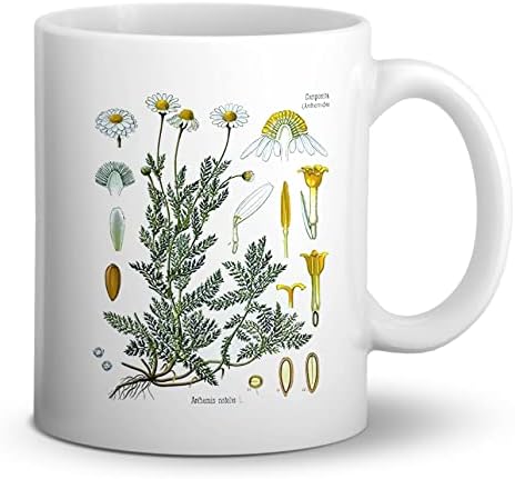 DOTAIN Vintage Botanička cvjetna Anthemis šolja za kafu od rimske kamilice, 11 unci dvostrana keramička
