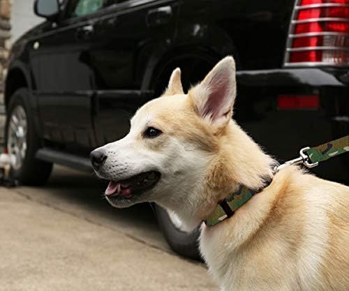 Moose kućni ljubimci Collo ovratnik za pse - kamuflaž vodootporni ovratnik za pse, izrađen u SAD - 1 inčni