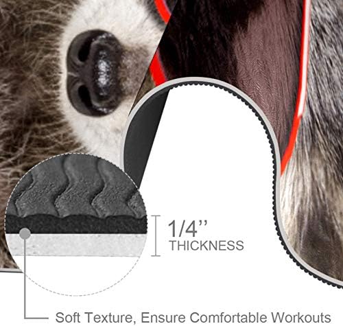 Siebzeh Cool Raccoon Premium Thick Yoga Mat Eco Friendly Rubber Health & amp; fitnes non Slip Mat za sve