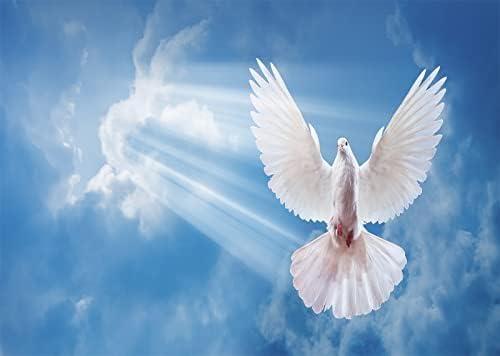BELECO 5x3ft tkanina mir Dove pozadina Sveti Duh ptica Isus Krist pozadina svijetlo nebo Svijetlo plavo