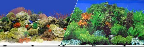 Plava vrpca Coral svježa pozadina dvostrana veličina: 24 x 50