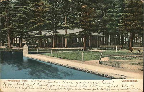 Wildwood Park Killingly, Connecticut CT Original antički razglednica 1906
